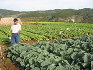 Hình ảnh