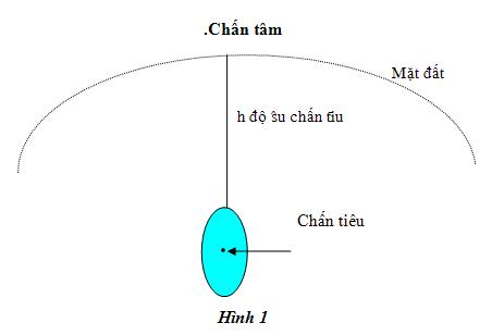 Hình ảnh