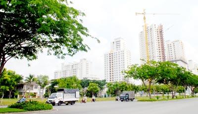 Hình ảnh